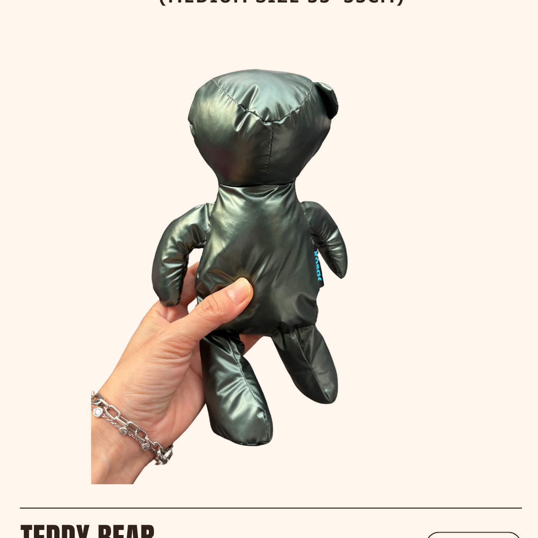 Teddy Bear Zip Bag