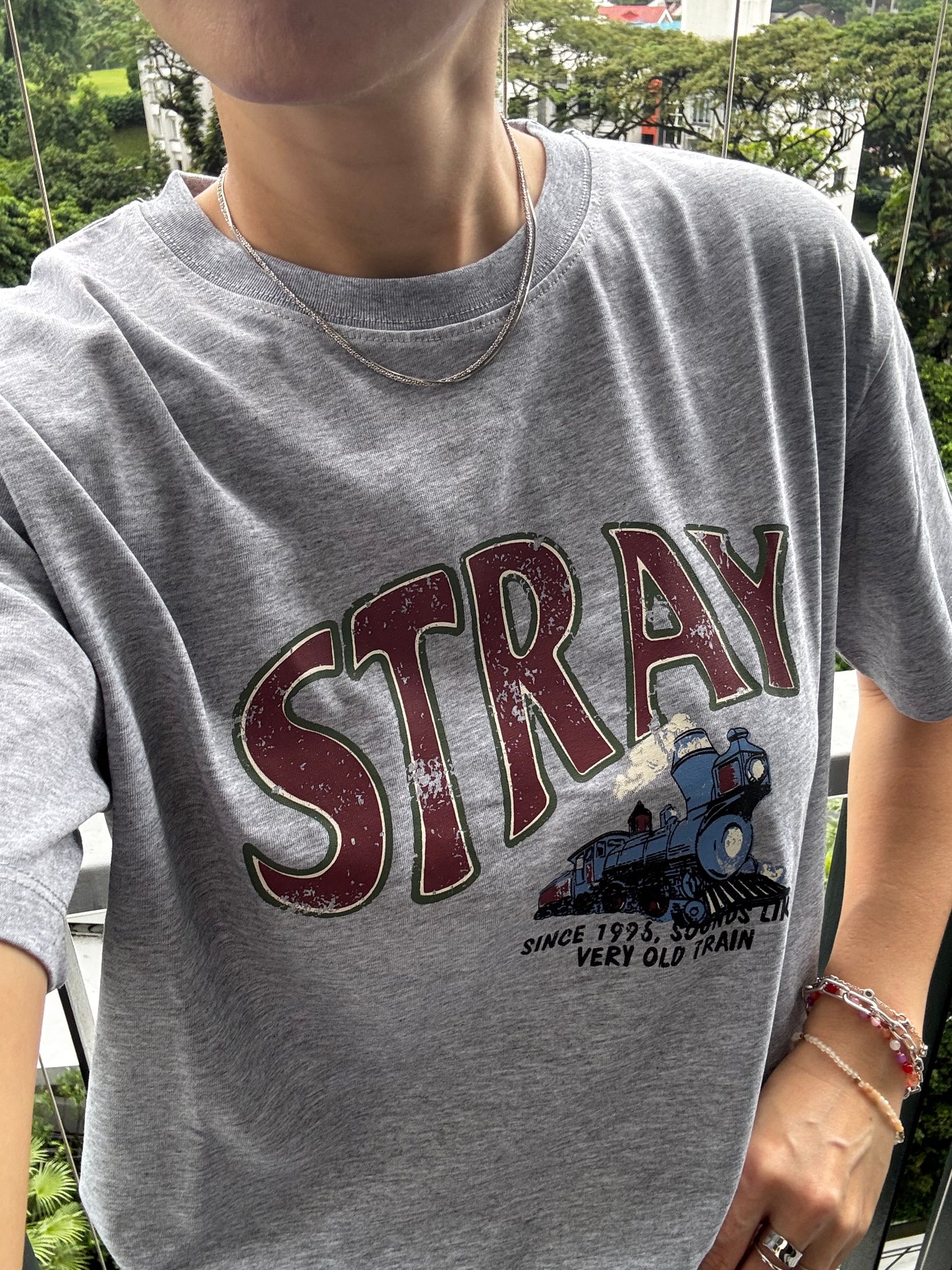 Stray Short-T